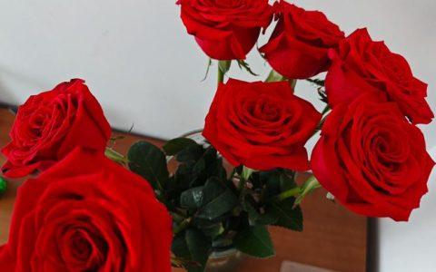 How Flowers Get Pollinated: A Dance of Nature’s Ingenuity